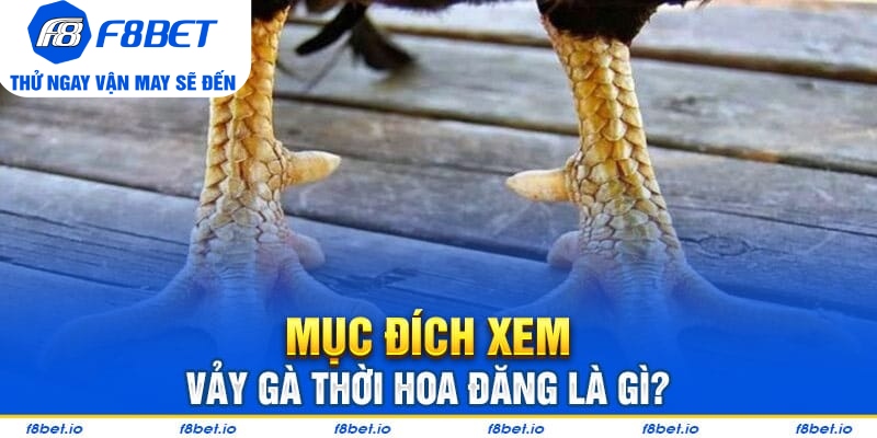 Mục đích để xem vảy gà thới hoa đăng