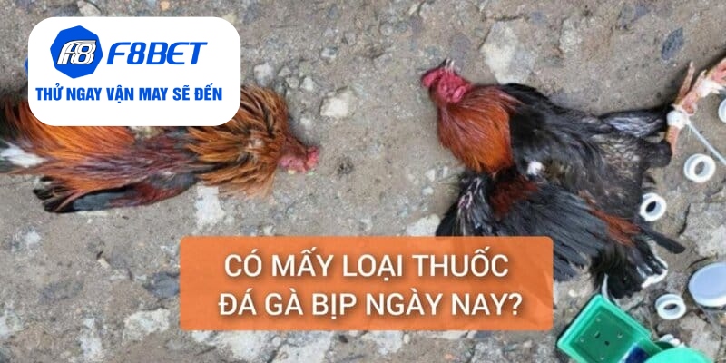 Có mấy loại thuốc đá gà bịp hiện nay