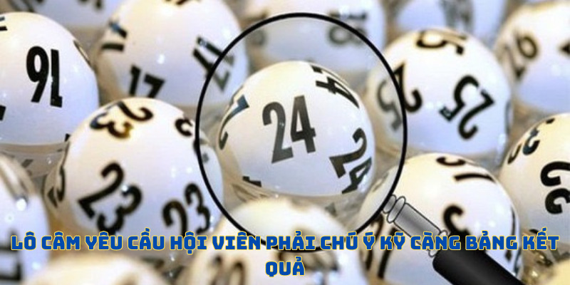 Member cần chú ý kỹ càng bảng kết quả